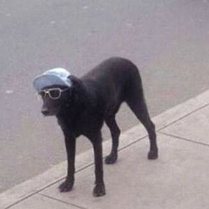 Meet your Posher, Alexander